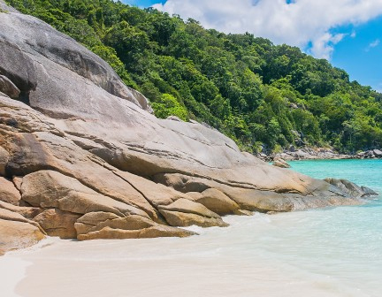 Andaman Tour Package