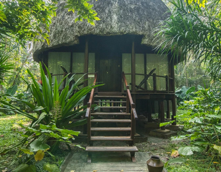 Barefoot at Havelock